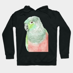 crimson-bellied parakeet watercolor portrait Hoodie